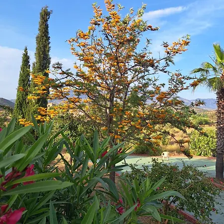 Villa La Dacha *