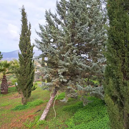 La Dacha Villa